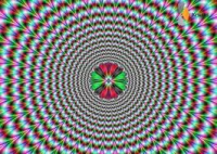 /album/fotogalerij/kopi-png/