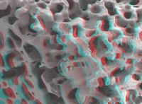 /album/fotogalerij/pct-png/